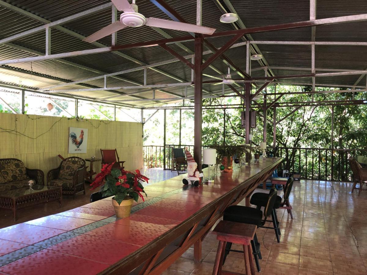Toucan House Coco Kültér fotó